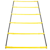 AMB Sports Pop-up Portable Foldable Hurdle ladder  2.3m and 4m