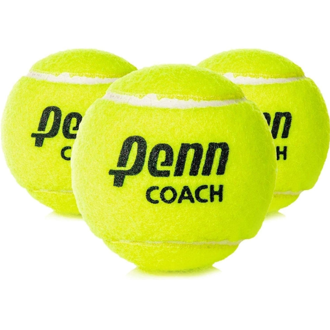 Penn Coach Pressurized Tennis Balls - Regular Duty Felt Practice & Training Tennis Balls - Carton of 24 cans