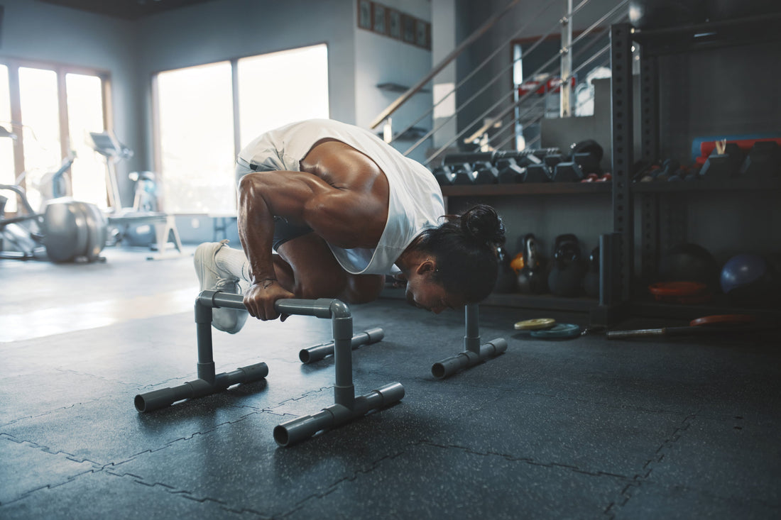 What Muscles Do Parallettes Work? And Which Type Should You Buy?
