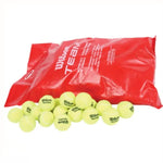 Wilson Unpressurized Tennis Ball 60 Training Balls