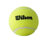 Wilson Unpressurized Tennis Ball 60 Training Balls