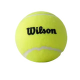 Wilson Unpressurized Tennis Ball 60 Training Balls