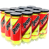 Penn Coach Pressurized Tennis Balls - Regular Duty Felt Practice & Training Tennis Balls  - Carton of 24 cans